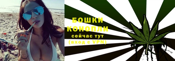 амф Аркадак