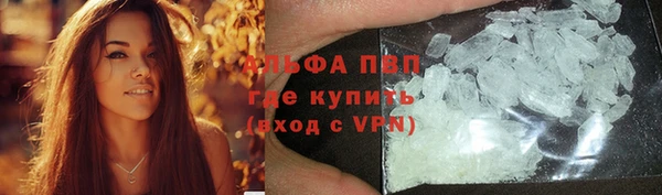 spice Арсеньев