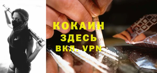 spice Арсеньев