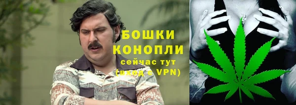 амф Аркадак