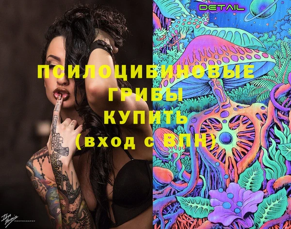 амф Аркадак