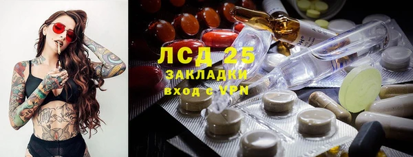 амф Аркадак