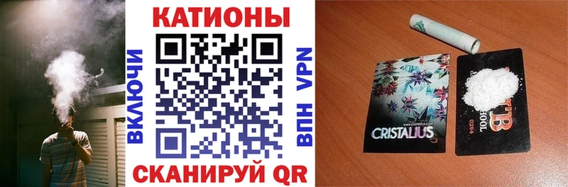 МЯУ-МЯУ мяу мяу  Рыльск 